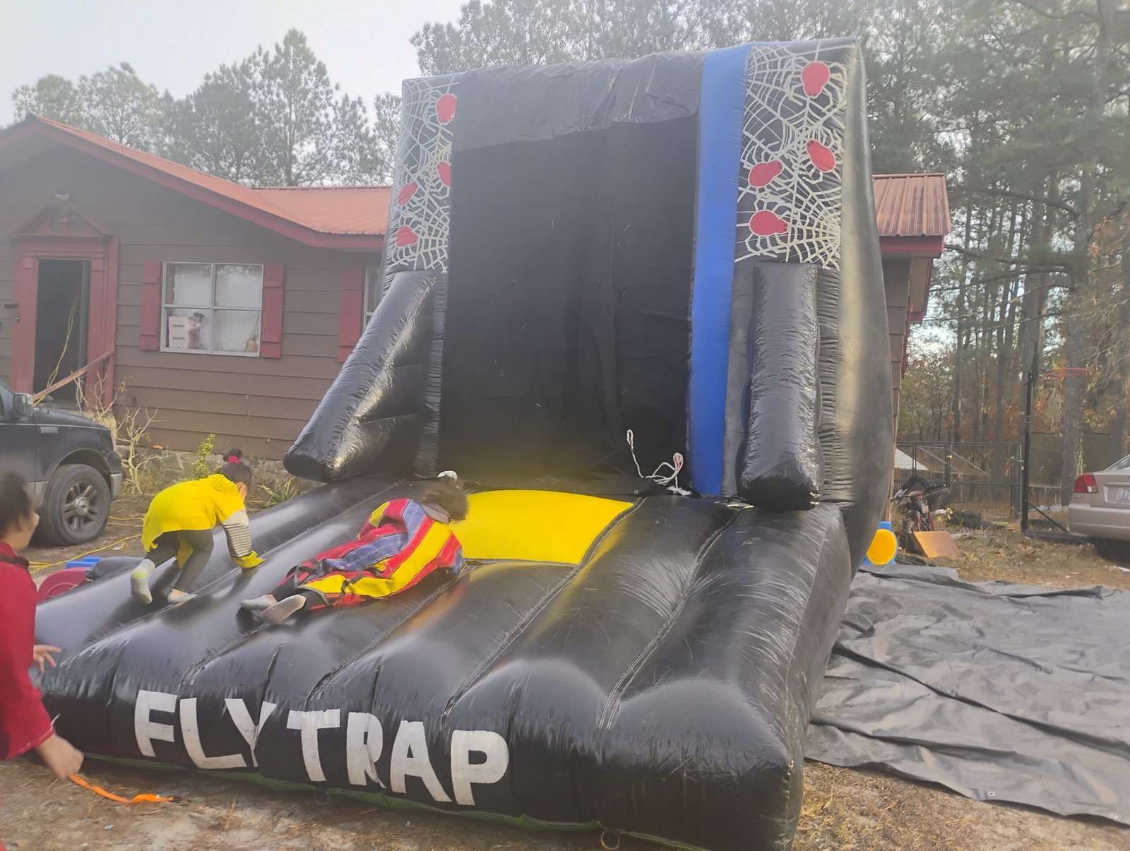 IMG_20241214_154734022_HDR